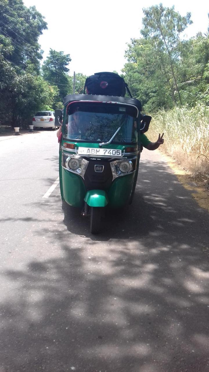 Wilpattu Dolosmahe Экстерьер фото