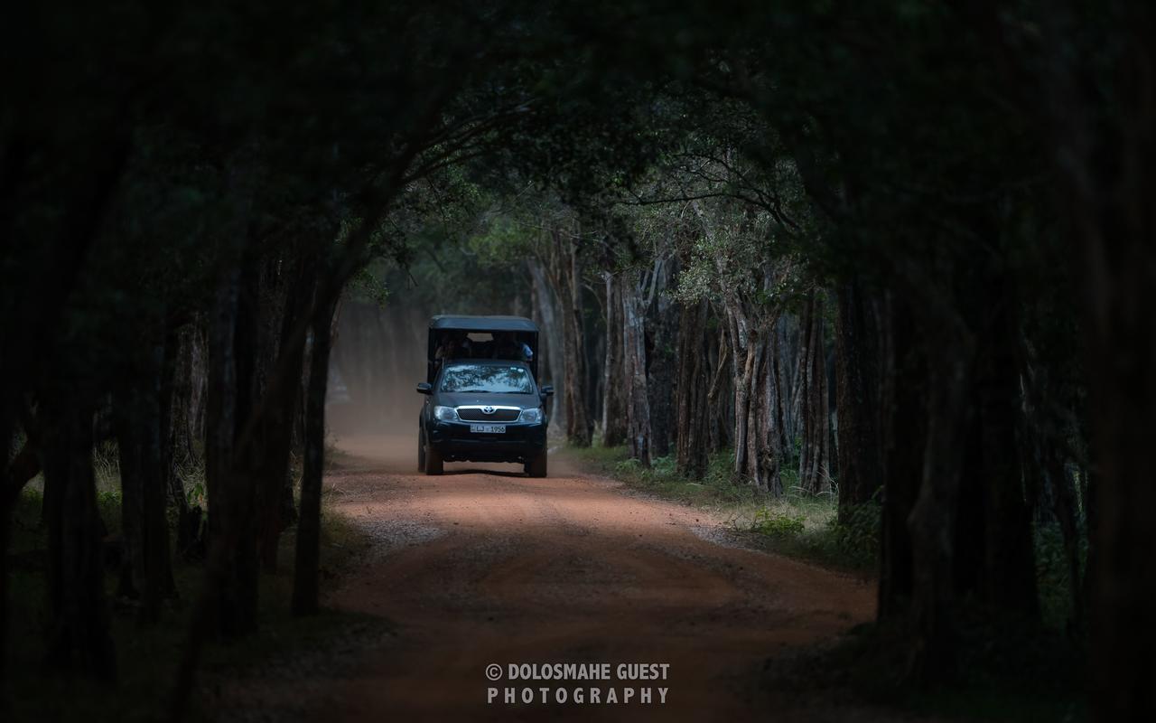 Wilpattu Dolosmahe Экстерьер фото