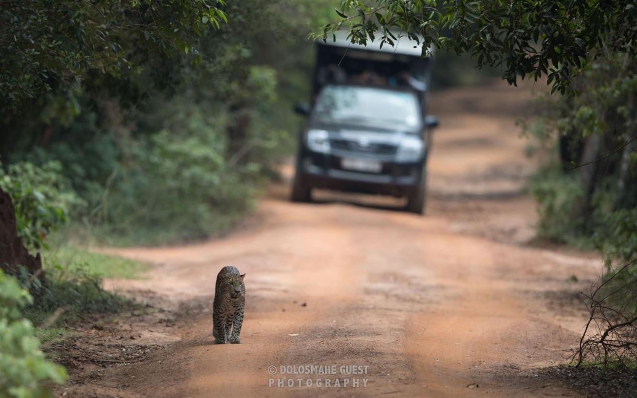 Wilpattu Dolosmahe Экстерьер фото